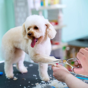 Professional <b>Left</b> <b>Handed</b> Curved Pet Grooming <b>Scissors</b> Professional Shears Pet Using for Dogs & Cats Hair Cutting Pack Silver - Product Image 5