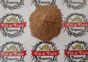<span class=keywords><strong>Amla</strong></span> Powder-Bột Phôi Officinalis Giàu Vitamin C Và Giúp Tiêu Hóa Mắt Khỏe Mạnh Hơn - Product Image 6