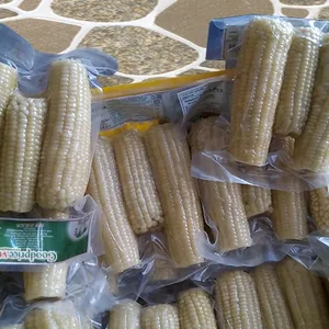 Maïs sucré congelé de qualité supérieure du Vietnam (meilleur prix) - Product Image 1