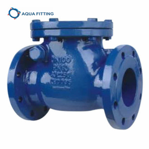 DN40-DN600 PN6-PN10-PN16 Đu Kiểm Tra Van - Product Image 4