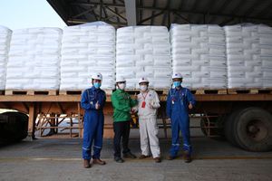 <span class=keywords><strong>100</strong></span>% Virgin Homopolymer Polypropylene <span class=keywords><strong>PP</strong></span> hạt/<span class=keywords><strong>PP</strong></span> nhựa/<span class=keywords><strong>PP</strong></span> Raffia lớp hạt được sản xuất tại Việt Nam - Product Image 5