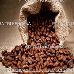 Duesseldorf Germany Europe CHARCOAL IGNITER, HARD WOOD CHARCOAL FRUIT COFFEE WOOD CHARCOAL PACKAGING WOOD BBQ CHARCOAL,BBQ GRILL - Product Image 3