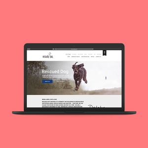 Logiciel de féminines de supermarché, meilleure qualité, pour amérique du nord-inde, accès internet - Product Image 6