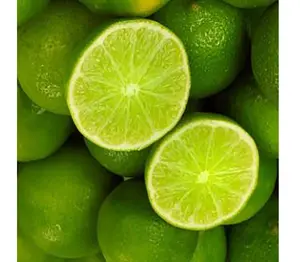 Vietnam ucuz fiyat ihracat standart taze tohumluk Lime/farsça limon//WhatsApp: Ms.Pinky (+ 84) 35 9268 345