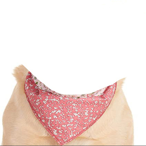 Bandana para mascotas de alta calidad - Product Image 4