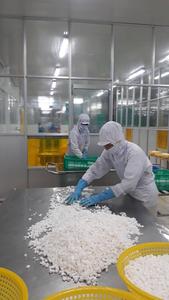 IQF-dados de Coco para carne de coco, carne de coco para la exportación de VIETNAM/MS Marie + 84 896611913 - Product Image 4