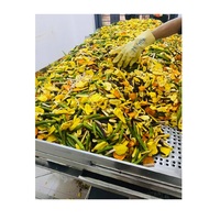 Vf Gemengde Groente Hoge Kwaliteit Gedroogde Gezonde Fruit Snack Krokante Chips