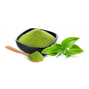 مجموعة واسعة من مستخلص شاي أخضر الأكثر مبيعا بكميات كبيرة