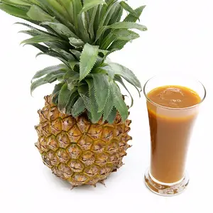 Zumo de piña orgánico concentrado sin aditivos, zumo de frutas tropicales, 84 896611913