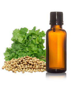 Aceite esencial de cilantro puro al por mayor, antiarrugas para la piel, botellas de 30ML y 100ml, precio razonable, exportaciones globales AARNAV - Product Image 1