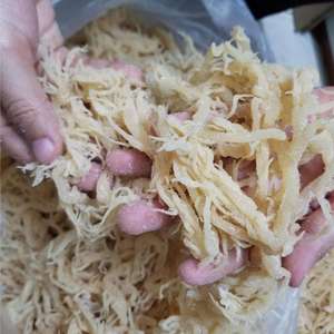 High Quality <b>Dried</b> Irish <b>Moss</b> Seaweed/ Cottonii Seaweed (Hot Price) - Product Image 1