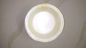 Platos de hoja de palma Areca desechables ecológicos, bambú orgánico natural con grabado de patrón de planta intrincado para fiestas - Product Image 5