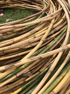 MATÉRIAU DE POLE EN ROTIN NATUREL pour MEUBLES - POLE EN ROTIN DU VIETNAM - POLE EN ROTIN POLI  WS0084587176063 - Product Image 3