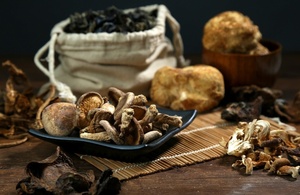 Seta de SHIITAKE seca para granja, seta de SHIITAKE seca, marrón, de origen vietnamita, seta de SHIITAKE en VIETNAM, Ms.Christy + 84 918509071 - Product Image 5