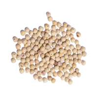 Vietnam's beste kwaliteit GMP-gecertificeerde gedroogde witte peper, 100% natuurlijke korrel, groothandelsprijs, gratis monster beschikbaar