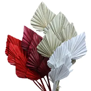 Dried fan palm leaf dry flower palm leaves flower decorative preserved palm leaves Mother S Day Valentine S Day Christmas Thanks