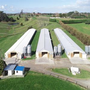 Maison de poulet pré-assemblée, structure en acier, avec <span class=keywords><strong>ventilateur</strong></span> au plafond, chauffage - Product Image 2