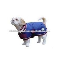 Tapis de chien.