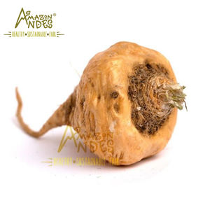 Extracto de raíz de Maca orgánico, tónico nutritivo en polvo a granel - Product Image 4