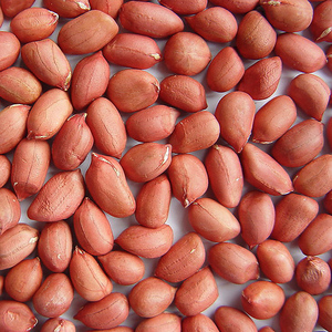 Raw Redskin <b>Peanuts</b> - Product Image 1