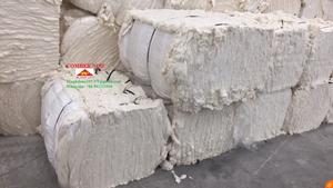 สินค้าโฮชิมินห์ รุ่นปี 2020 - ราคาดีที่สุดจากเวียดนาม - Product Image 5