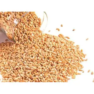 high quality wheat for milling and human and animal consumption ready for export Russian origin