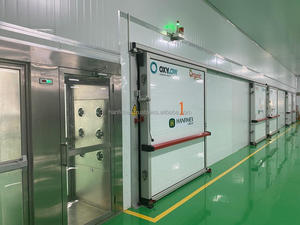 Vietnam biologique WW240 noix de cajou crues meilleur prix et qualité TR14 Hanfimex Tracy + 84397766566 - Product Image 3