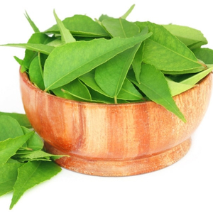 Huile Essentielle 100% Pure de Feuille de Curry et d'Arbre à Thé, Distillée à la Vapeur, Extrait Végétal, Disponible en OEM pour Diffuseur d'Arômes et Humidificateur d'Air - Product Image 2