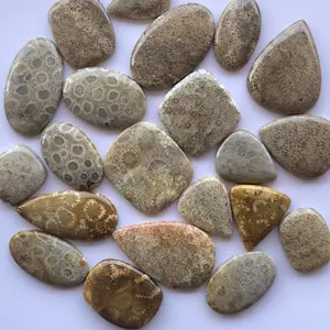 Zs — Cabochon en pierre Semi précieuse de fossile naturelle, taille libre, prix d'usine, rond, ovale, perle, vente en gros