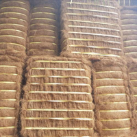 Mélange de fibres de coco sri-lankaise Fibre de noix de coco de qualité supérieure au meilleur prix pour les matelas, les brosses, les cordes et l'utilisation industrielle