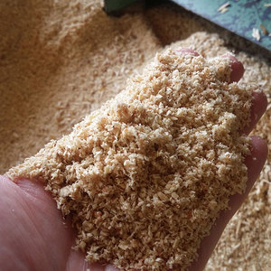 Pollo serrín ropa de cama de madera de serrín el cultivo de hongos - Product Image 6