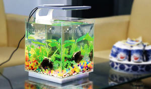 Acuario acrílico de diseño moderno, mesa superior - Product Image 3