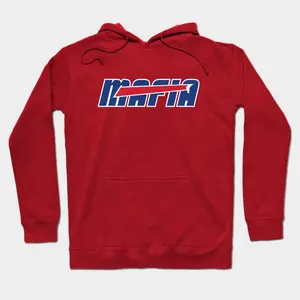 Sweat à capuche pour homme en polyester 100% de qualité supérieure avec logo personnalisé Sweat-shirt imprimé grande taille régulière et hiver Options OEM grande taille - Product Image 1