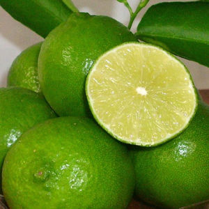Citron vert frais sans pépins à prix concurrentiel originaire du Viet Nam, spécialité aqueuse à peau fine citron vert et agrumes - Product Image 3