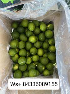Limones Frescos Verdes Orgánicos/Limones Frescos Verdes Sin Semillas de Vietnam/Serena - Product Image 4