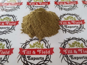 Bacopa monnirie Brahmi สกัดผงที่มีปริมาณซาโปนินสูง (50% NLT) บรรจุภัณฑ์กลองเกรดแรกที่มีความบริสุทธิ์99% - Product Image 4