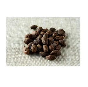 Orangutan seeds Malva Nut / Pang Da Hai / Sterculia Lychnophora for food, drinking. WA: +84327746158