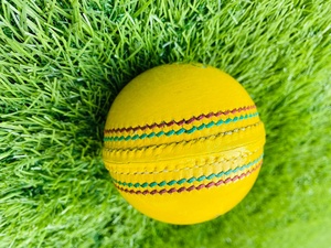 ลูกคริกเก็ตในร่ม |   อุปกรณ์คริกเก็ต RSM | - Product Image 6