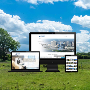 Top Real estate Portal Development Company in India | Award Winning Real Estate Portal Development Services by Webroot Infosoft - Product Image 3