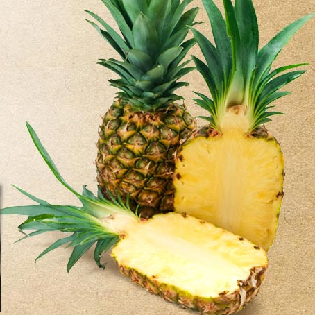 Piña fresca de alta calidad/piña enlatada, exportación a la UE, EE. UU., venta al por mayor para piña seca, Whatsap 0084 989 322 607