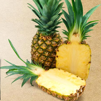 Hoge Kwaliteit Verse Ananas/Ingeblikte Ananas Export Naar Eu, Usa-Groothandel Voor Gedroogde Ananas-Whatsap 0084 989 322 607