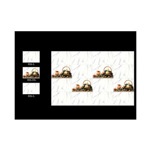 กระเบื้องบุผนังเซรามิกดิจิตอล250X450มมกระเบื้องผนังเซรามิกสีขาว - Product Image 1