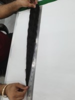 Livraison gratuite de cheveux indiens, en lots de cheveux bruts de haute qualité
