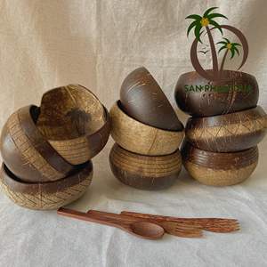 Bol en bois d'annatto de Style Art populaire Conception de coquille de noix de coco écologique pour salade Acai Smoothie Produit artisanal écologique - Product Image 4