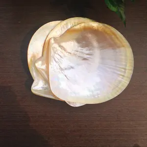 우아한 & 로얄 골드 펄 플레이트, 진주 접시의 어머니, 캐비아 걸레 접시. 천연 홍합 껍질로 만든