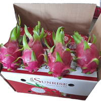 Vietnam 'S Best Verkochte Rood/Witte Drakenfruit, Verse Producten, Rechtstreeks Van Bron (David Director Mobile/Wa 84986778999)