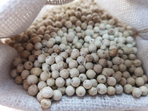 WS + 84359166896พริกไทยขาวคุณภาพพรีเมี่ยมต้นกำเนิดจากเวียดนามพืชผลดิบใหม่ราคาดีที่สุดพร้อมส่งตัวอย่างฟรี - Product Image 4