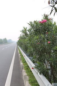 Guardrail - Fence - Signpost Highway Steel structure for safety on the Highway and Express way - Product Image 6