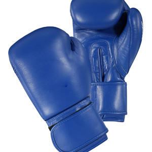 Boxing Gloves CHRT Boxing Gloves Pro Boxing Gloves With The Easy On Easy Off Quick Release Strap - Product Image 1