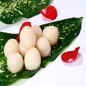 Jarabe de lichi enlatado en la mejor cantidad/Fruta de lichi enlatada de Vietnam / Shyn Tran - Product Image 6